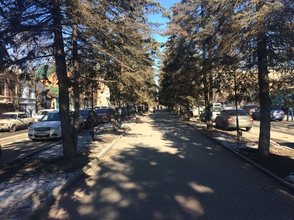 В праздничные дни в Шахтах будет тепло и солнечно