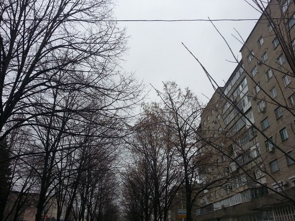 Неделя в Шахтах будет холодная и пасмурная