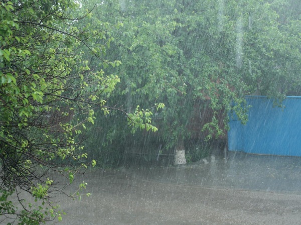 В Шахтах всю неделю будут идти дожди