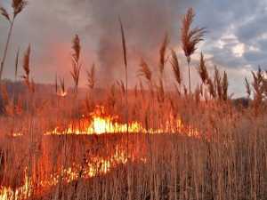 Алексей Логвиненко напомнил, как важно соблюдать меры противопожарной безопасности