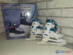 Больше 5 млн рублей нужно для организации всеобуча по катанию на коньках для школьников в Шахтах