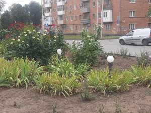 В Шахтах 32 улицы останутся без электричества 23 августа