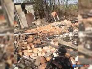 Женщина-инвалид осталась без крыши над головой из-за пожара в Сидоровке