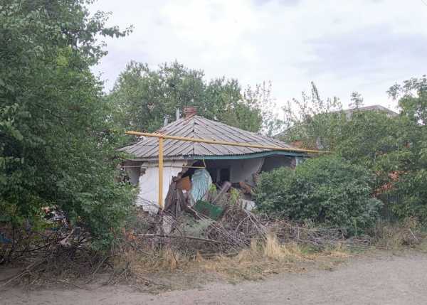 В Шахтах стая агрессивных собак растерзала кота на глазах у пенсионерки