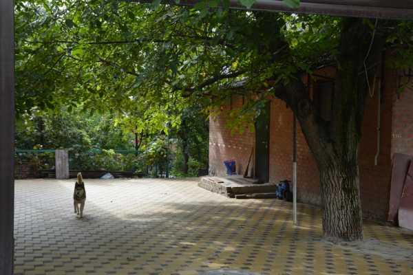 Семья Ананьевых из Ростова приобрела дом, съехав из квартиры в Кривошлыковском