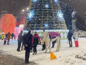 Ростовская область отказалась от трат на массовые новогодние мероприятия