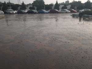 Последние выходные ноября в Шахтах будут пасмурными и дождливыми