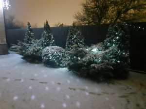 До 20 градусов мороза прогнозируют в Шахтах ночью 8 января