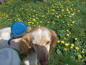 В Шахтах потеплеет с +13 до +21 градуса на новой неделе апреля