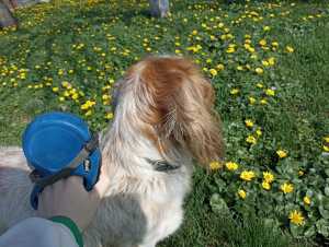 Солнечную погоду без осадков обещают в Шахтах на новой неделе