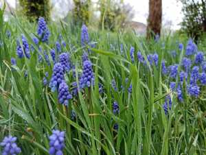 Дождь и грозу прогнозируют в Шахтах на новой неделе мая