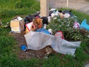 Шахтинцы жалуются на горы мусора рядом с детсадом 43 и музыкальной школой