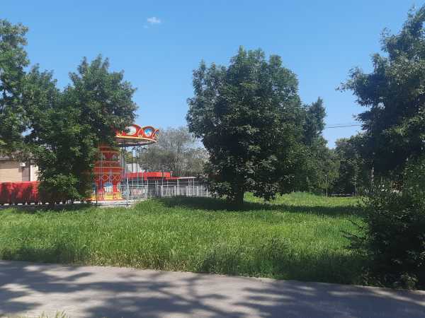 В зарослях травы и колючек: жители Шахт жалуются на состояние детских площадок в Александровском парке