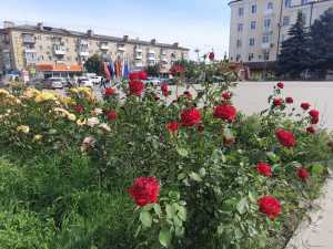 Жара до +30 градусов придет в Шахты в середине июня