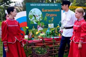 На Дону отметили «День огурца»