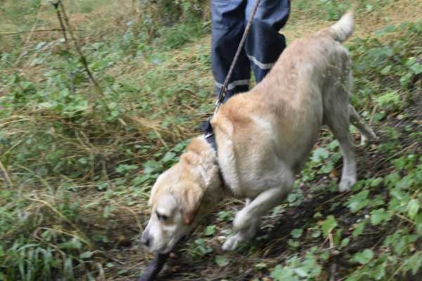 Донские спасатели провели тренировки по эвакуации пострадавших туристов