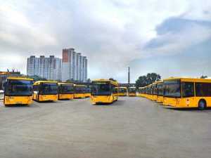 Алексей Логвиненко: «Автопарк Ростова до конца года пополнят 200 новых пассажирских автобусов»