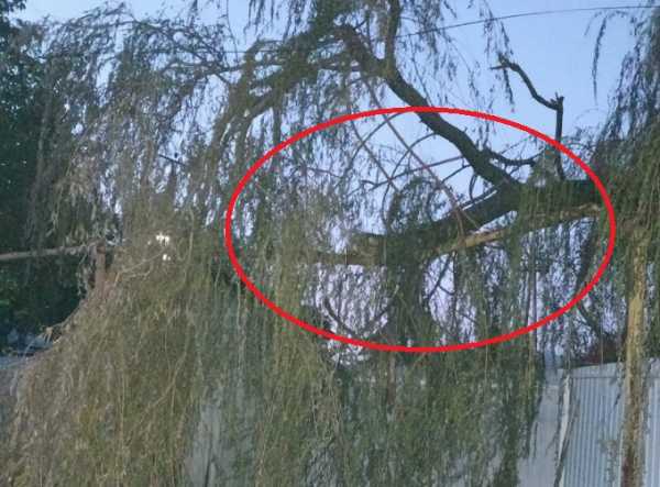 В Шахтах пожарная машина застряла в болоте, спеша на ЧП