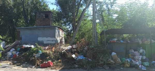 Жители Аюты в Шахтах жалуются на горы мусора