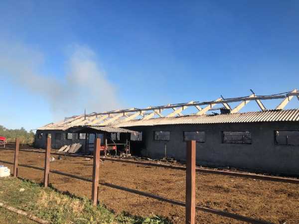 В Шахтах в крупном пожаре в коровнике погибла 53-летняя сотрудница фермы