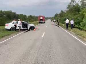 Водитель без прав устроил смертельное ДТП на автодороге Шахты - Цимлянск