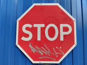 На донской трассе перекрыли дорогу из-за чумы свиней