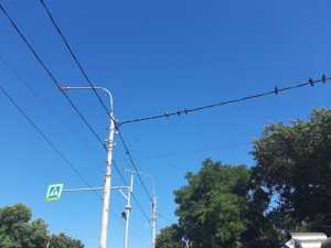 В Шахтах 46 улиц и поселок Даниловка останутся без электричества 21 августа