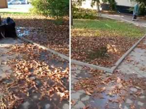 В Шахтах три месяца топит Арбат возле лицея № 3