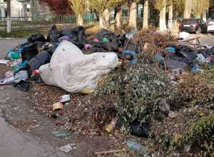 Шахтинцы из поселка Майского жалуются на мусорную свалку и разбитые контейнеры