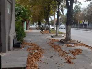 В выходные в Шахтах ливни сменит солнечная погода