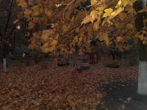 В праздничные ноябрьские выходные в Шахтах будет облачно и дождливо