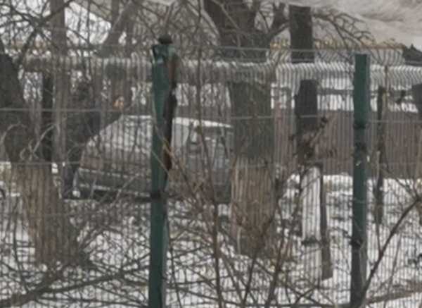 В Новошахтинске яма мешает подъехать к детскому саду