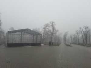 Елку в Шахтах установят в Александровском парке