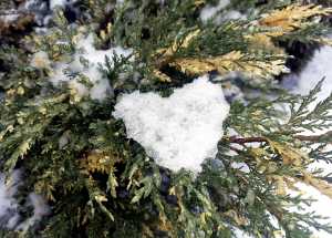 Пасмурные выходные без осадков прогнозируют в Шахтах 16 и 17 декабря