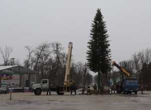 Главную Елку в Шахтах монтируют в Александровском парке