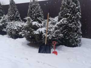 У шахтинца украли снегоуборочную машину