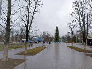 Облачная погода без осадков ожидается в последние декабрьские выходные в Шахтах