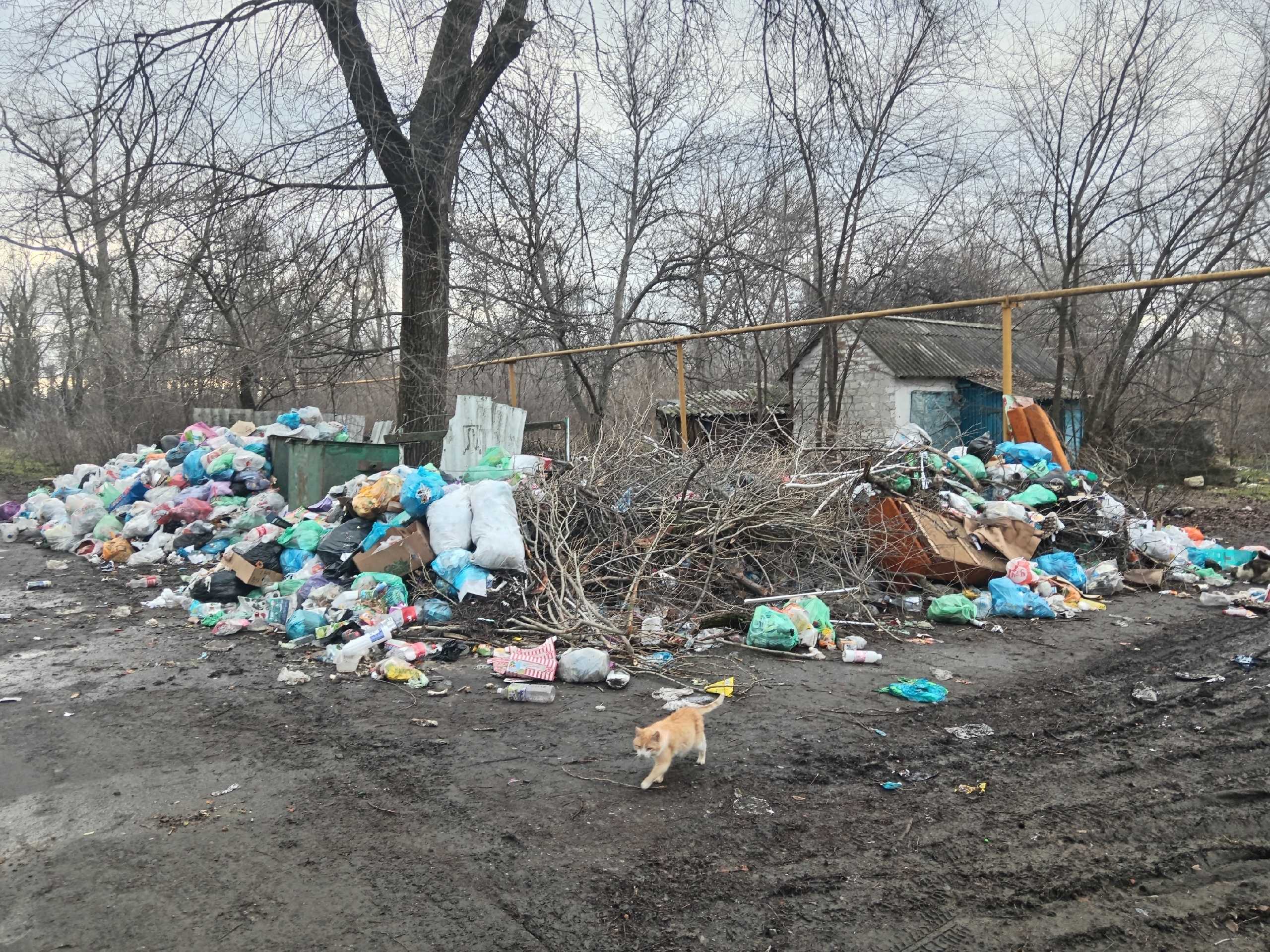 Новошахтинцы жалуются на большую свалку мусора на улице Соколова
