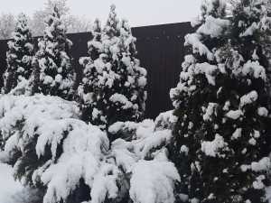 Мороз до -20 градусов обещают в Шахтах в первую рабочую неделю января