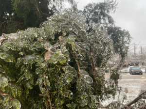 На Дону объявили штормовое предупреждение до 12 января из-за гололеда и штормового ветра