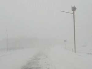 Из-за снежной метели ухудшилась видимость на донской трассе М-4