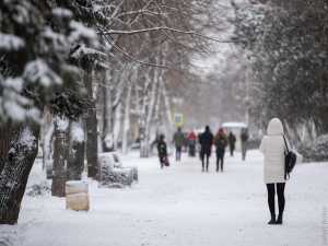 Росстат: Население в донском регионе через 20 лет станет меньше на полмиллиона