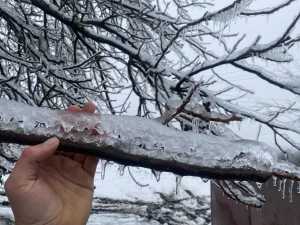 Последствия стихии: как в Шахтах устраняли порывы проводов и восстанавливали электричество