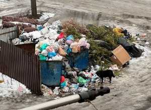 «Положение дел - никуда не годится»: глава администрации Шахт прокомментировал ситуацию с мусором