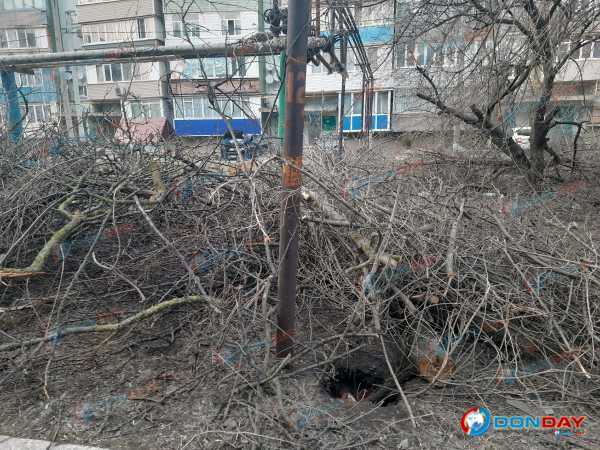 Детская площадка на Хабарова в Шахтах больше месяца завалена упавшими ветками