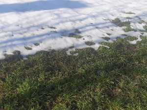 Погода в марте в Шахтах: тепло сменят морозы и вернется снег