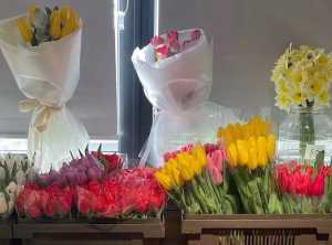 В праздничные выходные в Шахтах потеплеет лишь до +5 градусов