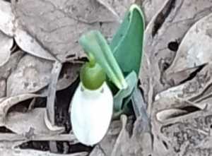 В Шахтах в выходные ожидается потепление до +12 градусов