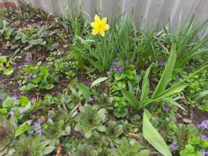 На последней неделе марта в Шахтах потеплеет до +18 градусов