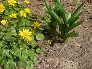 В первую неделю апреля в Шахтах будет тепло до +23 градусов